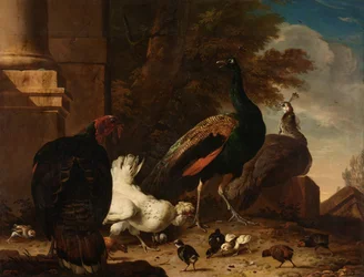 Una gallina con pavoni e un tacchino