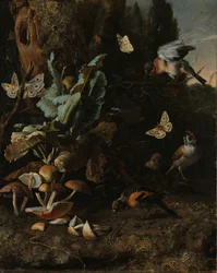 Animali e piante