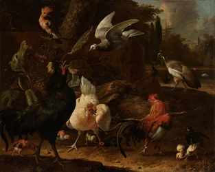 Uccelli in un parco