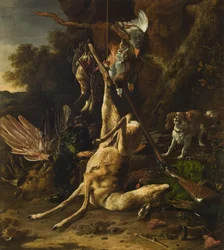 Trofei di caccia