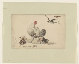 Due rondini e una gallina con quattro pulcini