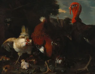 Una gallina, un gallo e un tacchino in un cortile