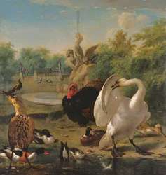 Un parco con cigno e altri uccelli
