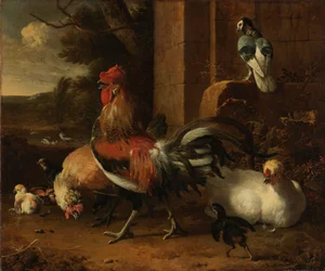 Un cortile di pollame, 1660-1665 circa (olio su tela)