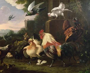 Un gallo e altri volatili in un paesaggio
