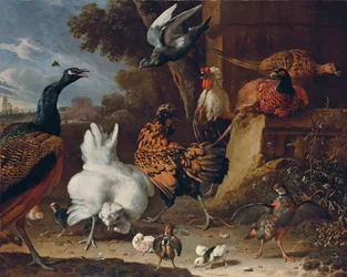 Un gallo, galline, pulcini, una pernice, fagiani, un pavone e un piccione vicino a un muro nel parco di una villa
