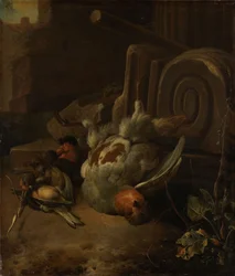 Uccelli morti