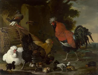 Un gallo, galline e pulcini. Dipinto di Melchior de Hondecoeter, ca 1668-1670