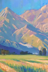 Una valle di montagna piena di vita