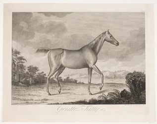 Il cavallo "Gentle Kitty"