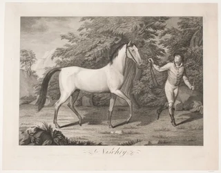 Il cavallo "Hesten Nischty"