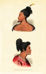 Busti di uomini Maori con tatuaggi facciali o Ta moko dalla Nuova Zelanda