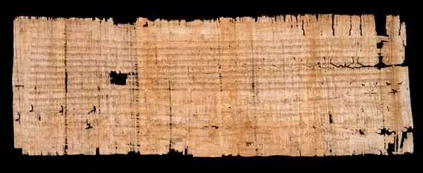 Periodo merovingio: documento legale manoscritto su papiro che conferma il privilegio di immunità concesso dal Re di Neustria Clodoveo II all