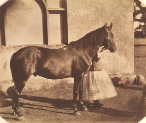 Sultano, metà degli anni 1850