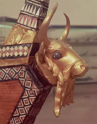 Testa di un toro, decorazione di un