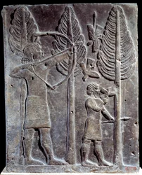 Scena di caccia agli uccelli. Bassorilievo in alabastro dal Palazzo di Sargon II o Sharroukin, Re di Assiria a Khorsabad (Khunsabad) (Mesopotamia), Iraq. 722-705 a.C. Parigi, Louvre
