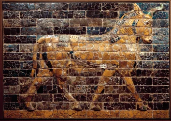 Mesopotamia: «Toro in movimento». Mattoni smaltati della Porta di Ishtar. Babilonia (Iraq) al tempo del re Nabucodonosor II. Museo nazionale dell