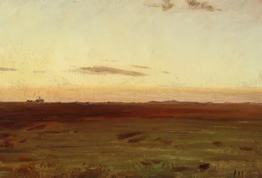 Vista del prato e delle dune al sole della sera.