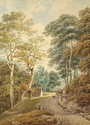 Un sentiero vicino a Hindhead