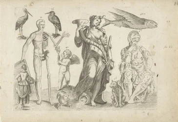 Foglio di esercitazione con esempi di disegno: animali e figure varie