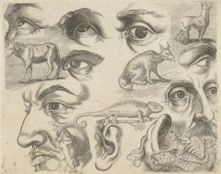 Esempi di disegno