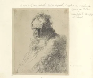Busto di un vecchio con barba