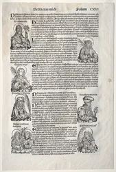 Cronaca di Norimberga, 1493
