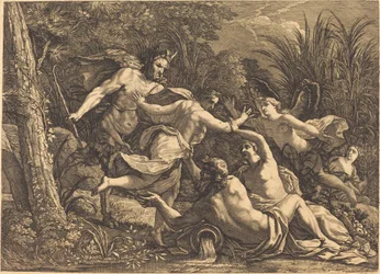 Pan e Siringa