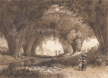 Archi di bambù, St. Anns