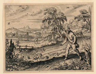 La parabola del seminatore