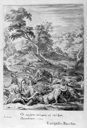 Atteone trasformato in cervo e divorato dai suoi cani, 1655