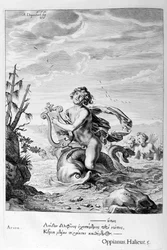 Arione salvato da un delfino, 1655