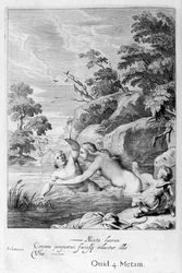 La Ninfa Salmacis e Ermafrodito, 1655