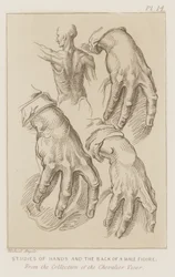 Studi di mani e schiena di una figura maschile