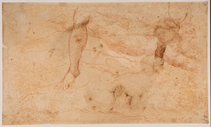 Studi di nudi