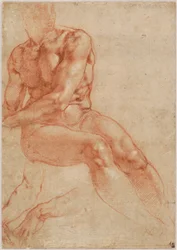 Nudo maschile giovane seduto e due studi di braccia (recto), 1510-11 ca.