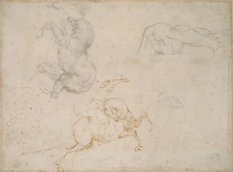 Cavaliere in carica e altri studi