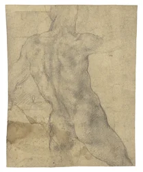 Un nudo maschile visto da dietro