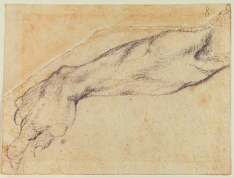 Studio di braccio per una figura della Sistina