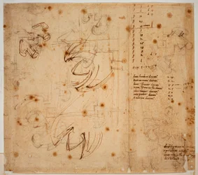 Studi e conteggi autografi
