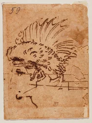 Testa crestata