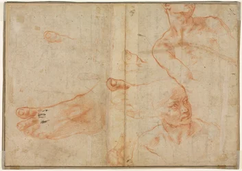 Studi di figure per il soffitto della Sistina verso, 1510-11