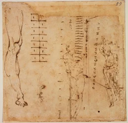 Studi di figure