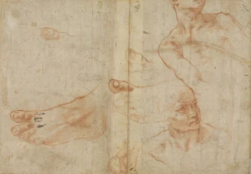 Studi di figure per il soffitto della Sistina