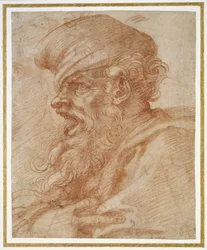 Testa di uomo barbuto che urla, c.1525