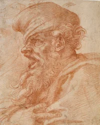 Testa di uomo barbuto che urla