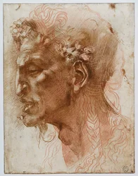 Testa di un satiro