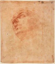 Studio della testa per il Giona della Sistina