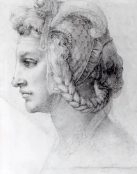 Testa ideale di una donna, c.1525-28