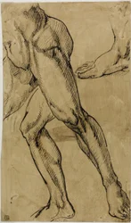Gambe e Piedi di Nudo Maschile